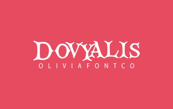Dovyalis: A Font That Elevates Your Brand’s Visual Story