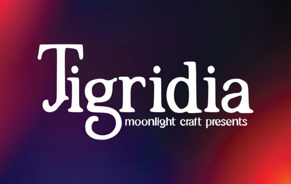 Tigridia: The Serif Font That Elevates Your Brand